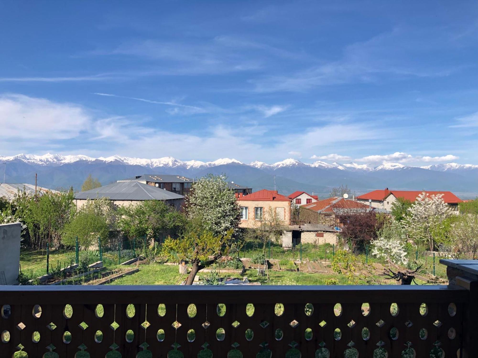 Lokokina Guesthouse Telavi Bagian luar foto