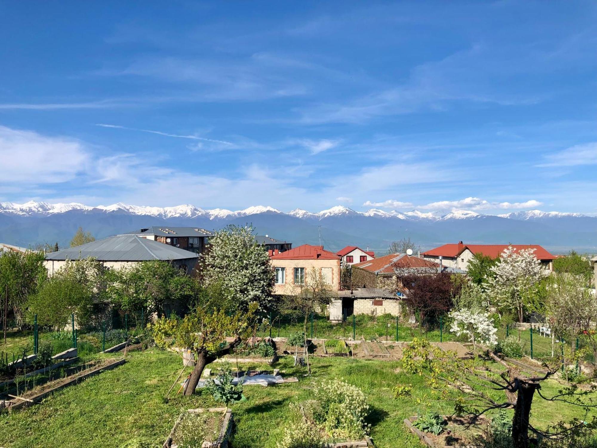 Lokokina Guesthouse Telavi Bagian luar foto